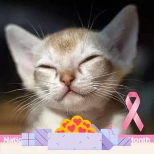 Meet your Posher, Vickie